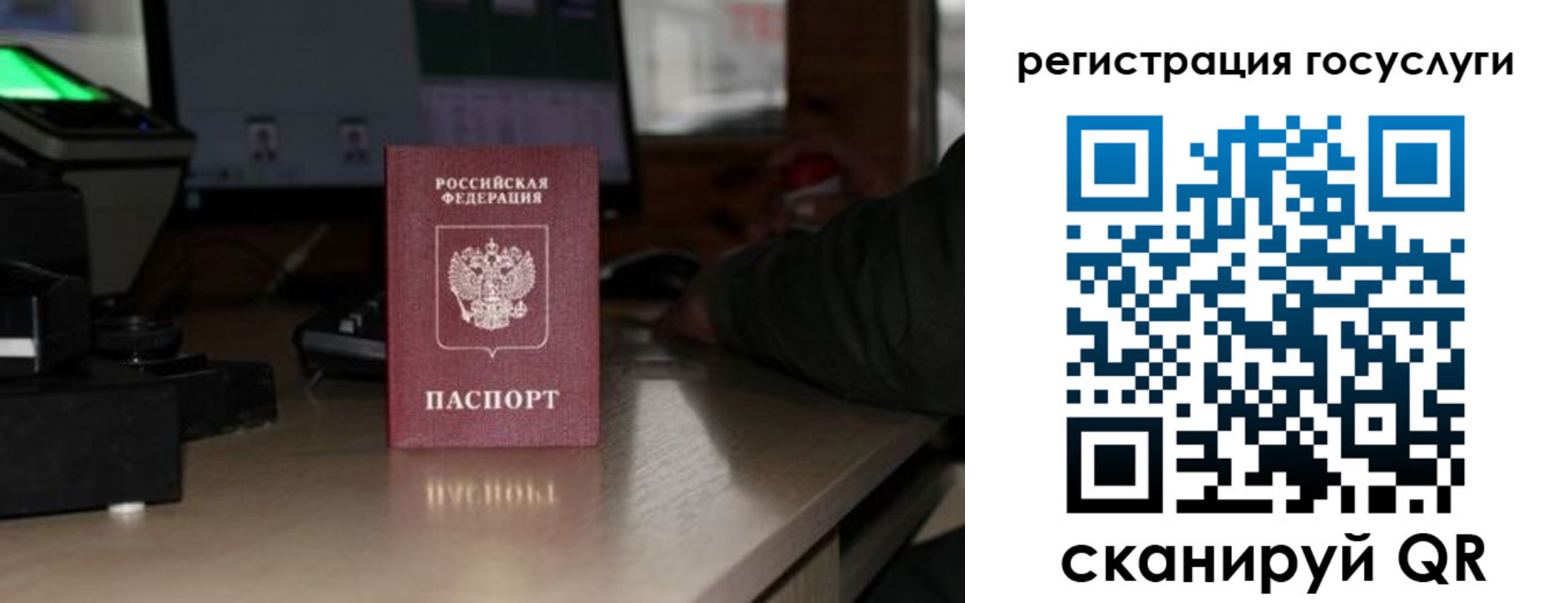 прописка законно в Ростовской области